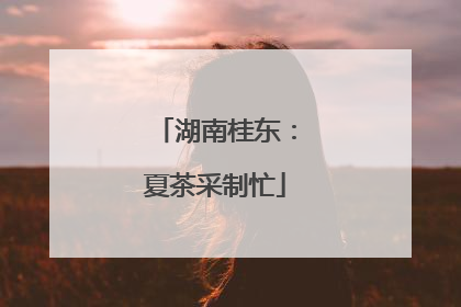 湖南桂东：夏茶采制忙