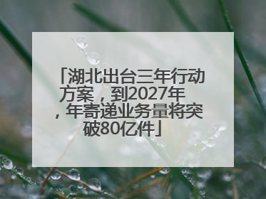 湖北出台三年行动方案，到2027年，年寄递业务量将突破80亿件