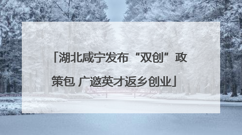 湖北咸宁发布“双创”政策包 广邀英才返乡创业