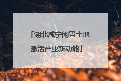 湖北咸宁闲置土地激活产业新动能