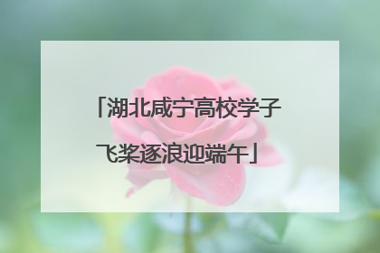 湖北咸宁高校学子飞桨逐浪迎端午