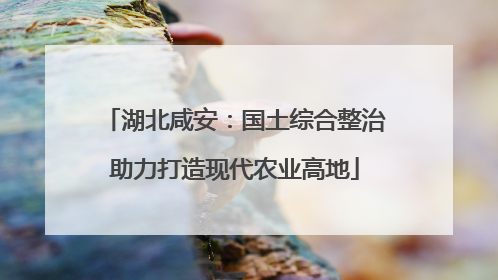 湖北咸安：国土综合整治助力打造现代农业高地