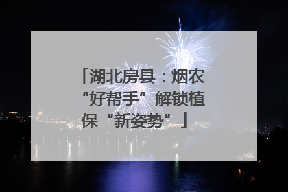 湖北房县：烟农“好帮手”解锁植保“新姿势”