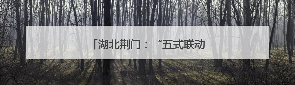 湖北荆门：“五式联动”一体推进精准普法