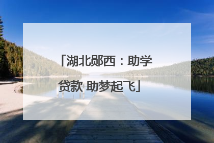 湖北郧西：助学贷款 助梦起飞