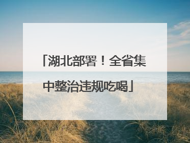湖北部署！全省集中整治违规吃喝