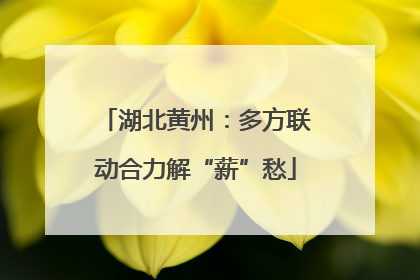 湖北黄州：多方联动合力解“薪”愁