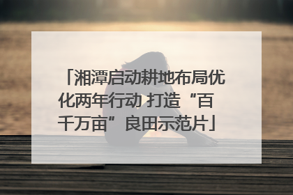 湘潭启动耕地布局优化两年行动 打造“百千万亩”良田示范片