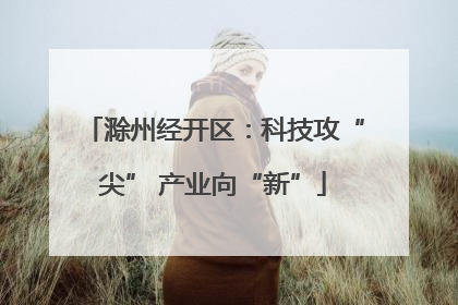 滁州经开区：科技攻“尖” 产业向“新”