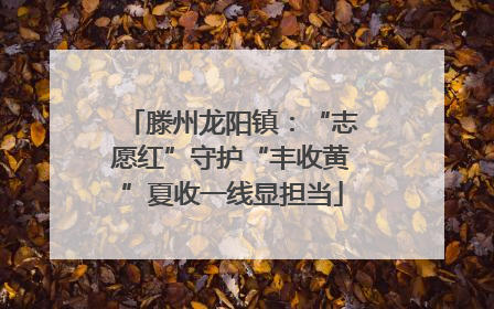 滕州龙阳镇：“志愿红”守护“丰收黄”夏收一线显担当