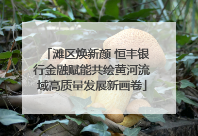 滩区焕新颜 恒丰银行金融赋能共绘黄河流域高质量发展新画卷