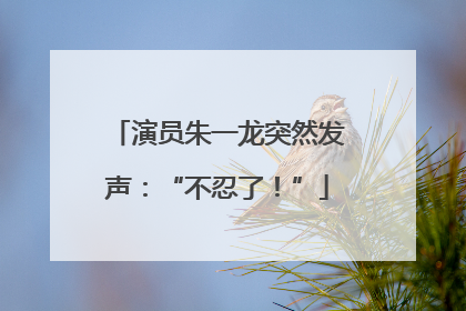演员朱一龙突然发声：“不忍了！”