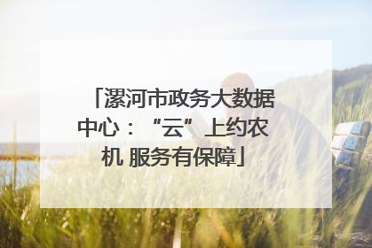 漯河市政务大数据中心：“云”上约农机 服务有保障