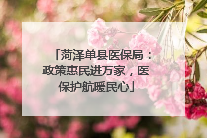 菏泽单县医保局：政策惠民进万家，医保护航暖民心