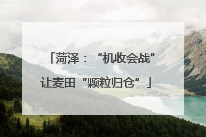 菏泽：“机收会战”让麦田“颗粒归仓”