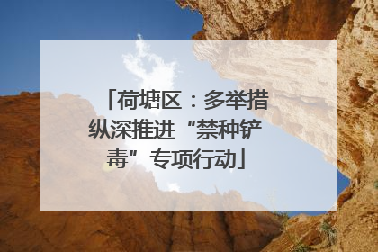 荷塘区：多举措纵深推进“禁种铲毒”专项行动