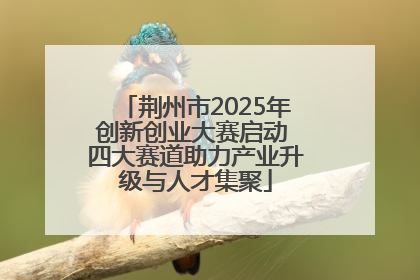 荆州市2025年创新创业大赛启动 四大赛道助力产业升级与人才集聚