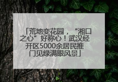 荒地变花园，“湘口之心”好称心！武汉经开区5000余居民推门见绿满眼风景