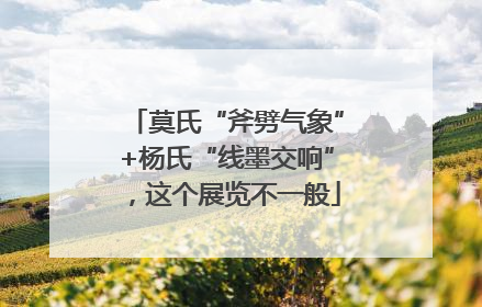 莫氏“斧劈气象”+杨氏“线墨交响”，这个展览不一般