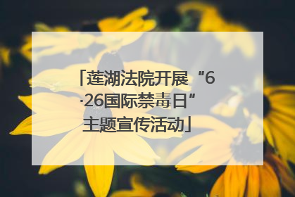 莲湖法院开展“6·26国际禁毒日”主题宣传活动