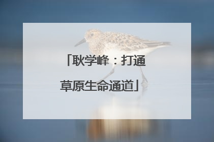 耿学峰：打通草原生命通道