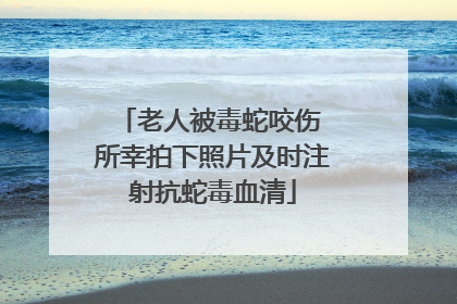 老人被毒蛇咬伤 所幸拍下照片及时注射抗蛇毒血清
