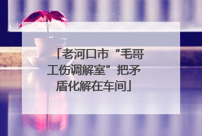老河口市“毛哥工伤调解室”把矛盾化解在车间