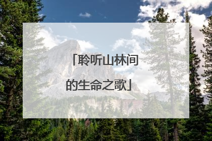 聆听山林间的生命之歌