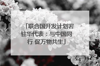 联合国开发计划署驻华代表：与中国同行 促万物共生