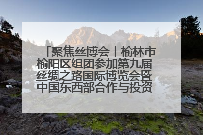 聚焦丝博会丨榆林市榆阳区组团参加第九届丝绸之路国际博览会暨中国东西部合作与投资贸易洽谈会