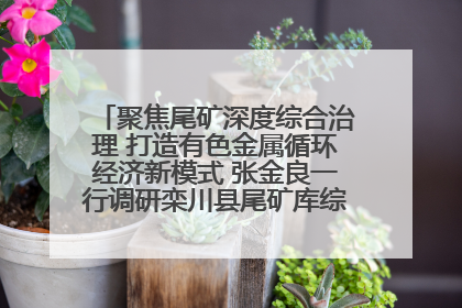 聚焦尾矿深度综合治理 打造有色金属循环经济新模式 张金良一行调研栾川县尾矿库综合治理工作