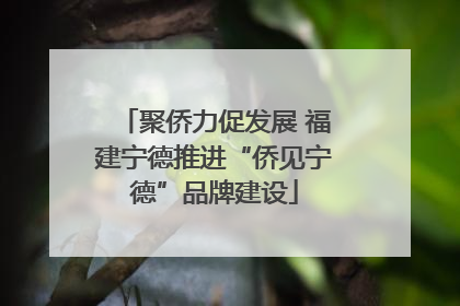 聚侨力促发展 福建宁德推进“侨见宁德”品牌建设