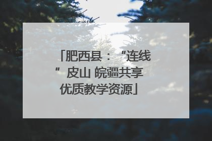 肥西县：“连线”皮山 皖疆共享优质教学资源