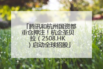 腾讯和杭州国资都重仓押注！杭企圣贝拉（2508.HK）启动全球招股