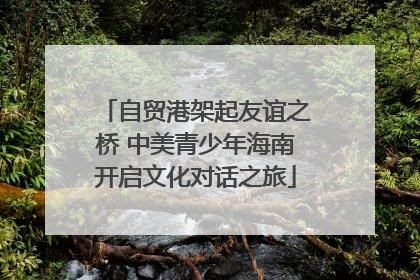自贸港架起友谊之桥 中美青少年海南开启文化对话之旅