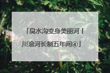 臭水沟变身美丽河丨川渝河长制五年间④