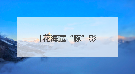 花海藏“豚”影！江豚湾景区创意花田邀你来打卡