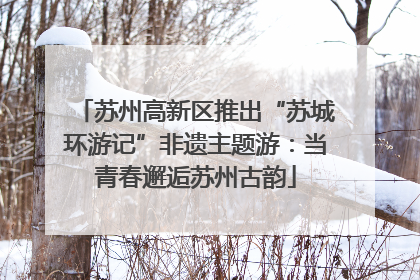 苏州高新区推出“苏城环游记”非遗主题游：当青春邂逅苏州古韵