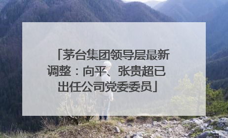 茅台集团领导层最新调整：向平、张贵超已出任公司党委委员