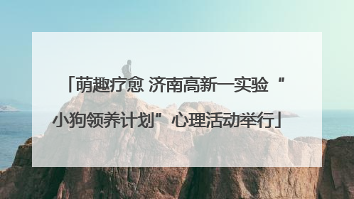 萌趣疗愈 济南高新一实验“小狗领养计划”心理活动举行