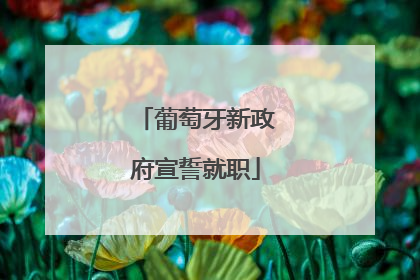 葡萄牙新政府宣誓就职
