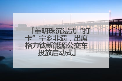 董明珠沉浸式“打卡”宁乡非遗，出席格力钛新能源公交车投放启动式