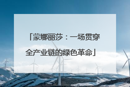 蒙娜丽莎：一场贯穿全产业链的绿色革命