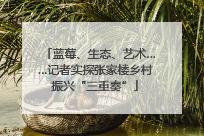 蓝莓、生态、艺术……记者实探张家楼乡村振兴“三重奏”