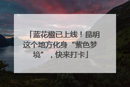 蓝花楹已上线！昆明这个地方化身“紫色梦境”，快来打卡