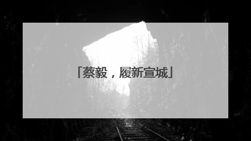 蔡毅，履新宣城