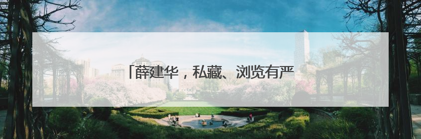 薛建华，私藏、浏览有严重政治问题的网络文章
