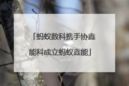 蚂蚁数科携手协鑫能科成立蚂蚁鑫能