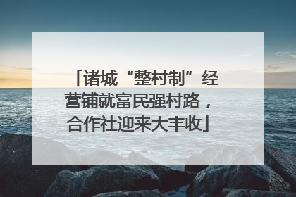 诸城“整村制”经营铺就富民强村路，合作社迎来大丰收