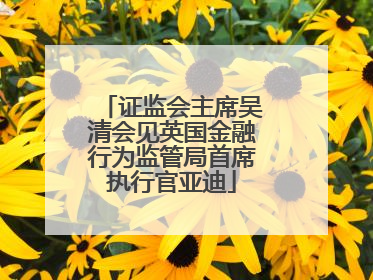 证监会主席吴清会见英国金融行为监管局首席执行官亚迪